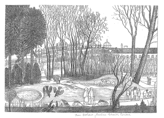 Im Botanischen Garten der Universität Wien - Zeichnung, 20x30 cm, 2013, A. Kästner - VERKAUFT