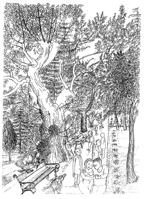 Freudlich grüßen die Rabenkrähen - Zeichnung, 20x30cm, 2012, A. Kästner