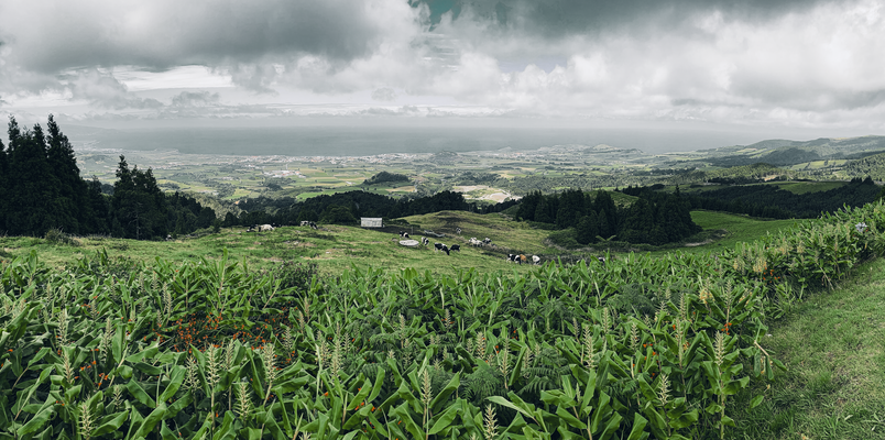 AZORES TRIP 6