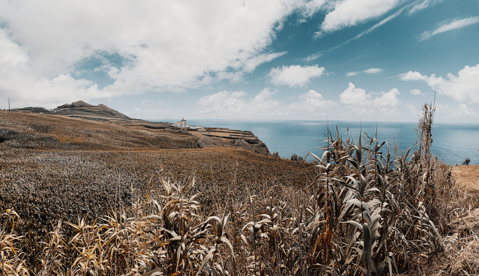 AZORES TRIP 8