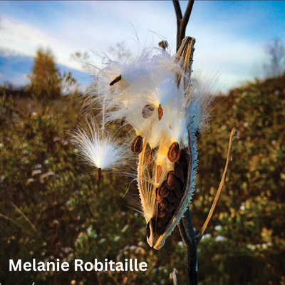 Melanie Robitaille