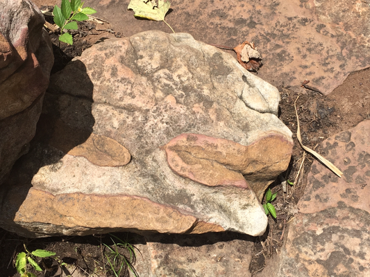 Week Three Hope Around The Globes Webseite The end now that it's raining more than ever know that we'll still have each other you can stand under my umbrella you can stand under my. hope around the globe jimdo