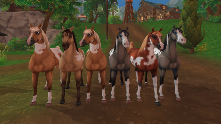 Die Pferde der Ranch