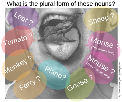 Plural forms of nouns