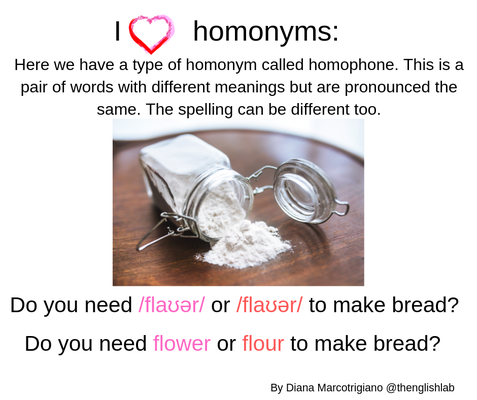 Homonyms: the homophone of flower & flour