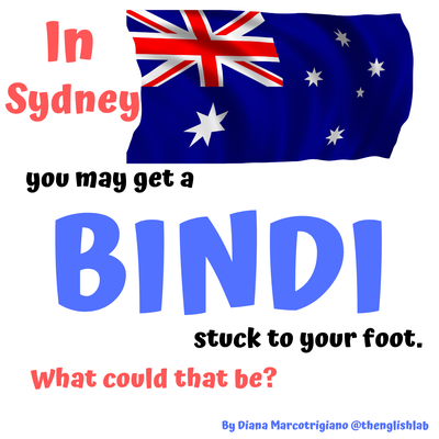 Regionalism in Sydney: bindi