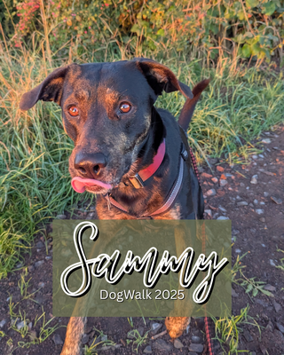 28.09.2025: Sammy ist 6 km in Pulheim gelaufen.