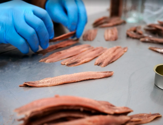 Filetes grandes de anchoa del Cantábrico en aceite de oliva - Calidad premium