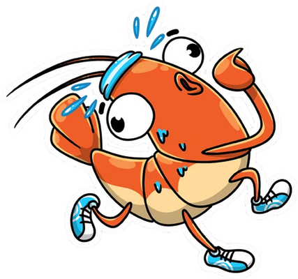 crevette - faune aquatique - animaux - smiley émoticône émoji cartoon clipart illustration - artémotic