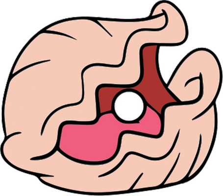 bivalve - faune aquatique - animaux - smiley émoticône émoji cartoon clipart illustration - artémotic
