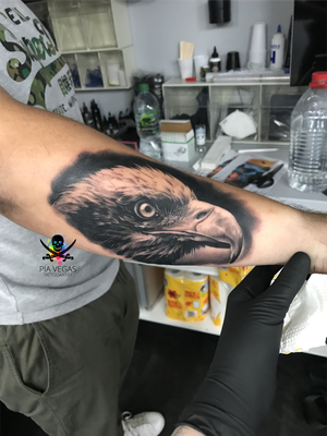 eagle tattoo adler