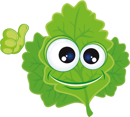 légume - alimentation - smiley émoticône émoji cartoon clipart illustration - artémotic