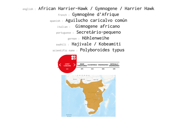 Names, conservation status and distribution of African Harrier Hawk