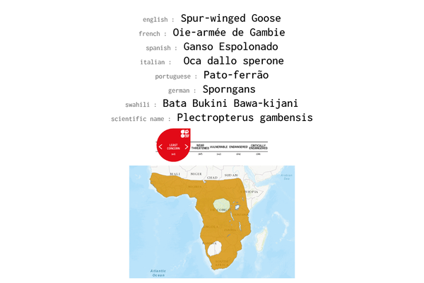 Names, conservation status and distribution of Spur-winged Goose