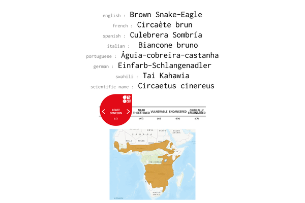 Names, conservation status and distribution