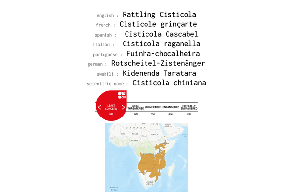 Names, conservation status and distribution of Rattling Cisticola