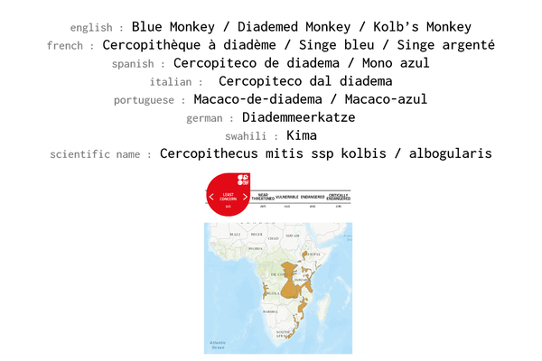 Names, conservation status and distribution of the Blue Monkey