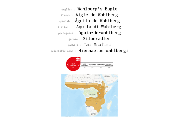 Names, conservation status and distribution of Wahlberg's Eagle