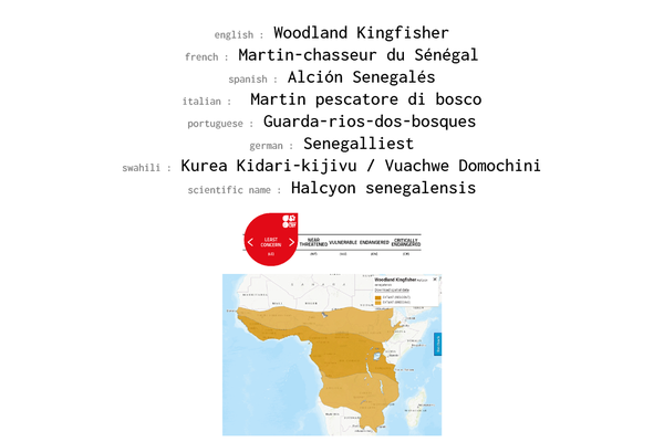 Names, conservation status and distribution of Woodland Kingfisher
