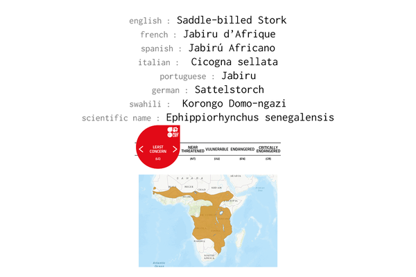 Names, conservation status and distribution