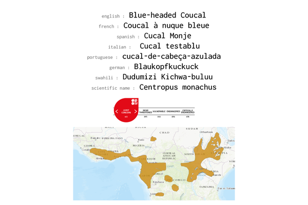 Names, conservation status and distribution of Blue-headed Coucal