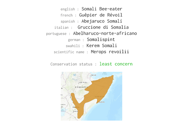 Names, conservation status and distribution of Somali Bee-eater