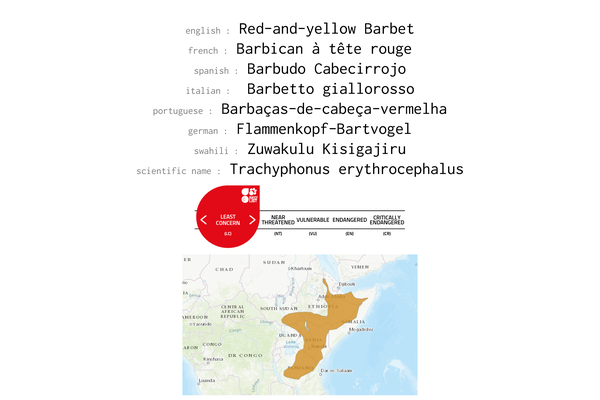 Names, conservation status and distribution of Red-and-yellow-barbet