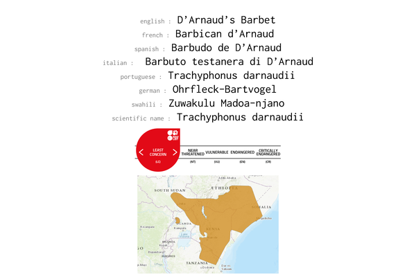 Names, conservation status and distribution of D'arnaud's Barbet