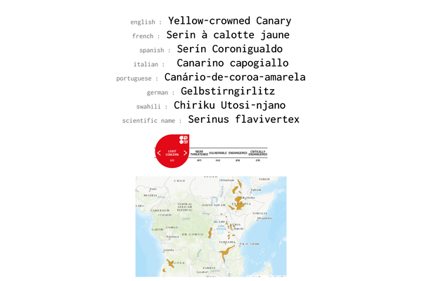 Names, conservation status and distribution of Yellow-crowned Canary