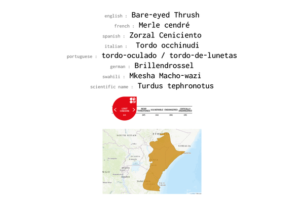 Names, conservation status and distribution of Bare-eyed thrush