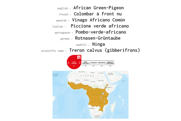 Names, conservation status and distribution of the African Green Pigeon