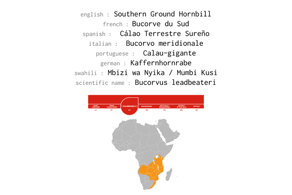 Names, conservation status and distribution of Southern Ground Hornbill