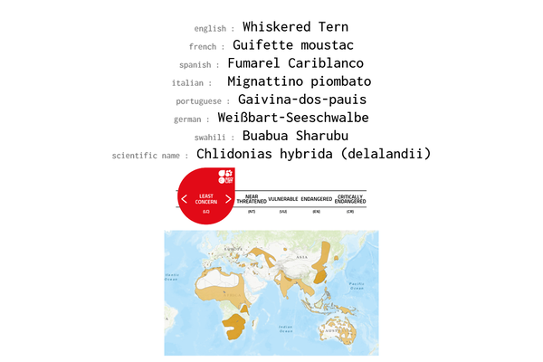 Names, conservation status and distribution