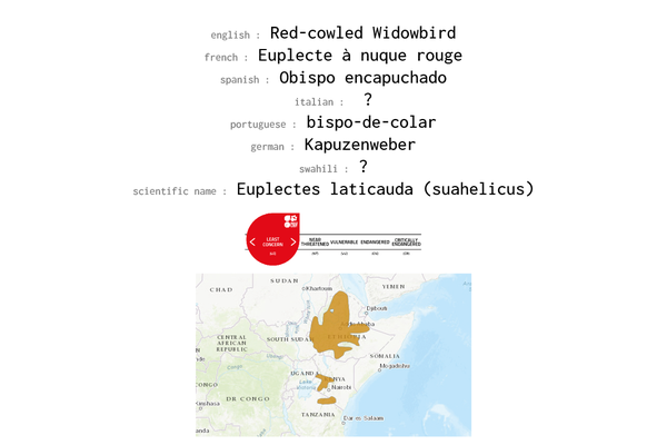 Names, conservation status and distribution of Red-cowled Widowbird