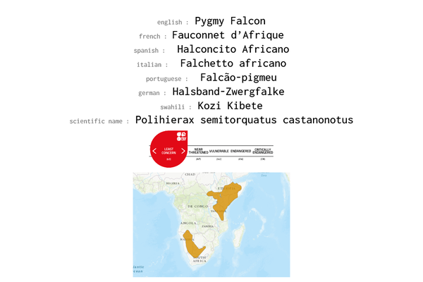 Names, conservation status and distribution of Pygmy Falcon