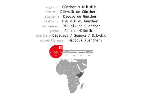 Names, conservation status and distribution of the Günther's dik-dik