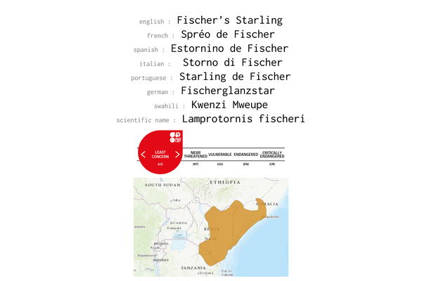 Names, conservation status and distribution of the Fischer's Starling
