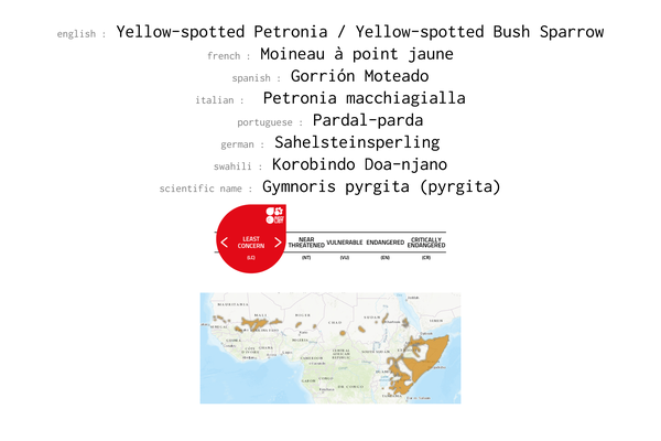 Names, conservation status and distribution