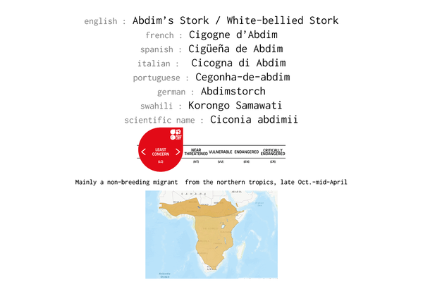 Names, conservation status and distribution of Abdim's Stork