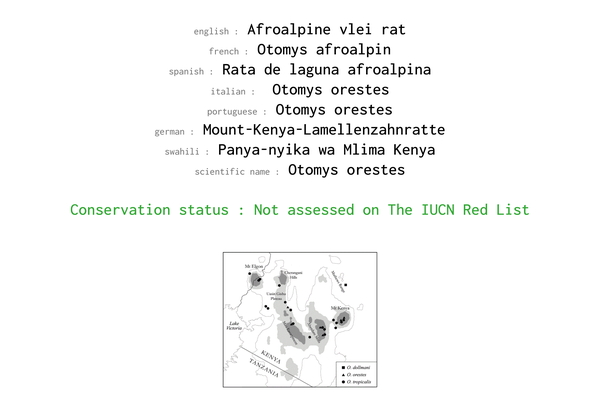 Names, conservation status and geographic range of Afroalpine Vlei Rat