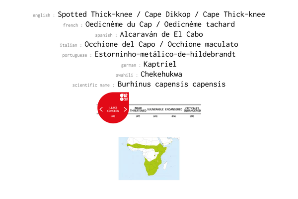 Names, conservation status and distribution of Spotted Thick-knee
