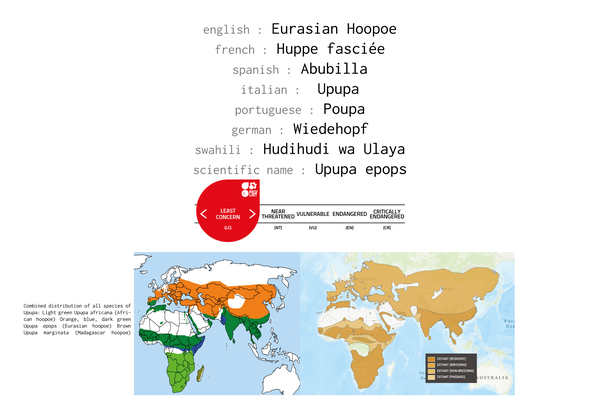 Names, conservation status and distribution of Eurasian Hoopoe