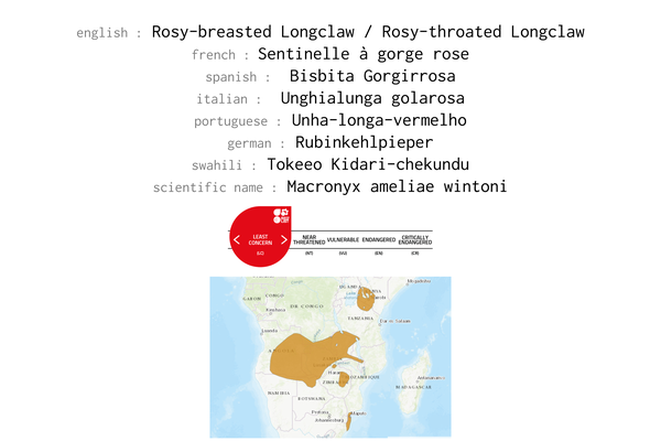 Names, conservation status and distribution of Rosy-breasted Longclaw