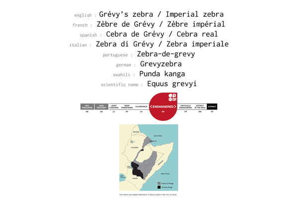 Names, conservation status and distribution of Grevy Zebra