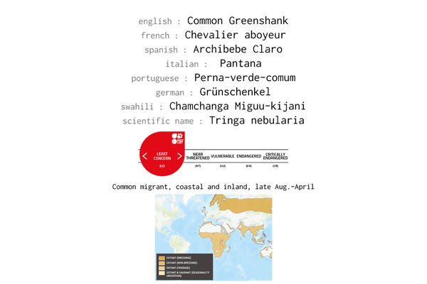 Names, conservation status and distribution of Common Greenshank