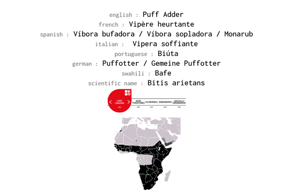 Names, conservation status and distribution of Puff Adder