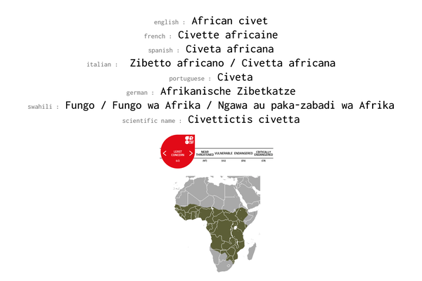 Names, conservation status and distribution of African Civet