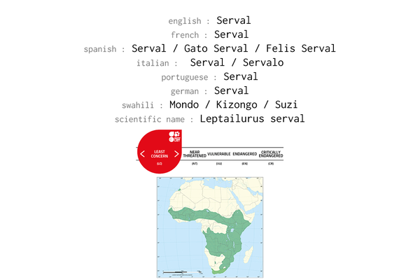 Names, conservation status and distribution of Serval