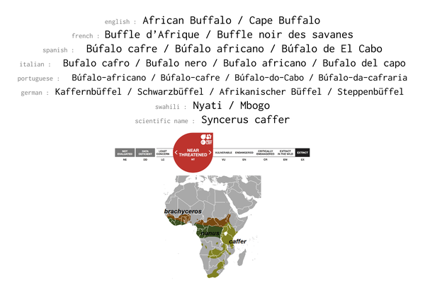 Names, conservation status and geographic range of Cape Buffalo