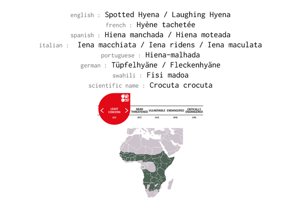 Names, conservation status and distribution of Spotted Hyena